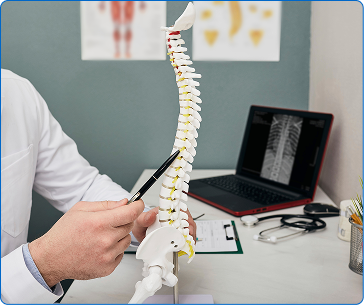 척추/관절 치료